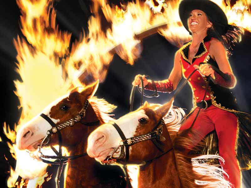 Roman Ride of Fire at Dixie Stampede