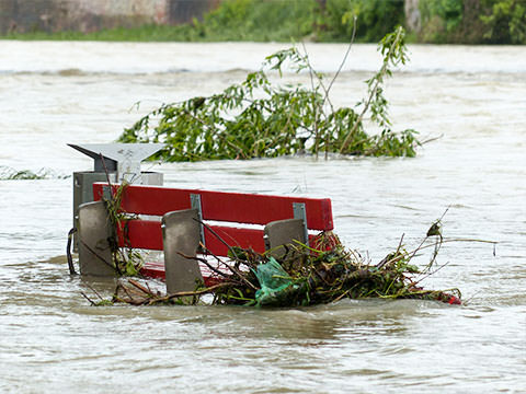 Public Libraries Need Help In WV Flooding Aftermath