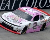 Dolly Parton and Dollywood Sponsored NASCAR at BMS Photo Credit: Bristol Herald Courier, David Crigger.
