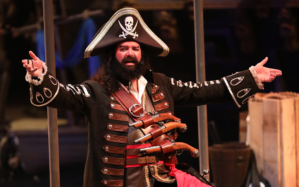 pirates voyage owner