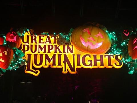 Dollywood’s Harvest Festival Feels Fresh, Yet Familiar