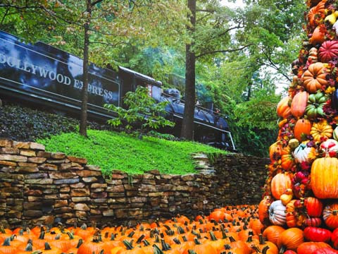 Fall for the Sights, Sounds and Smells at Dollywood