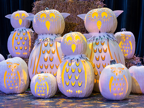 Decorative owls made from pumpkins