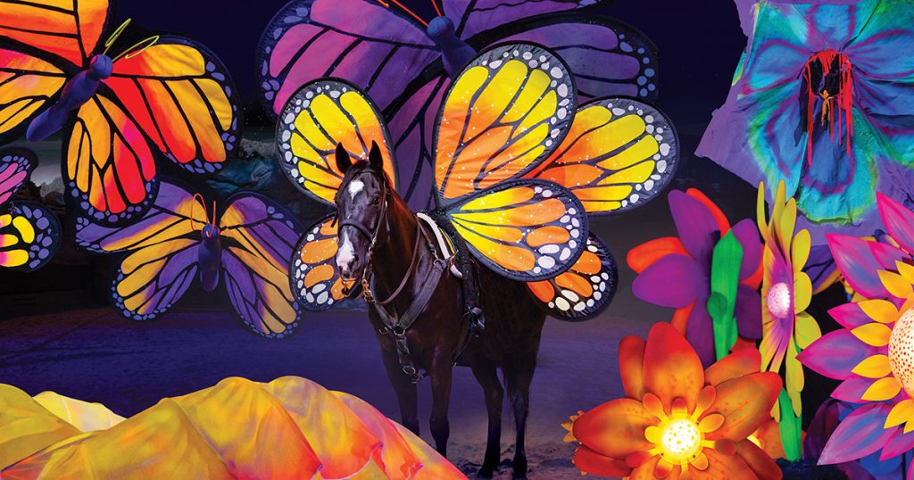 Dolly Parton's Stampede Introduces Butterfly Dreams Segment to Dinner ...